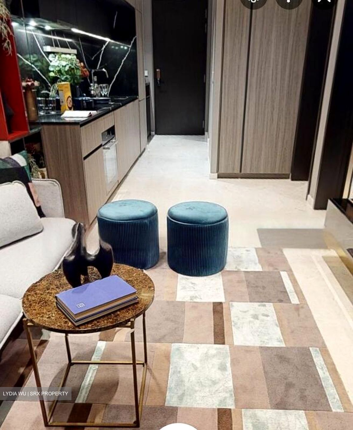 Irwell Hill Residences (D9), Apartment #632090331